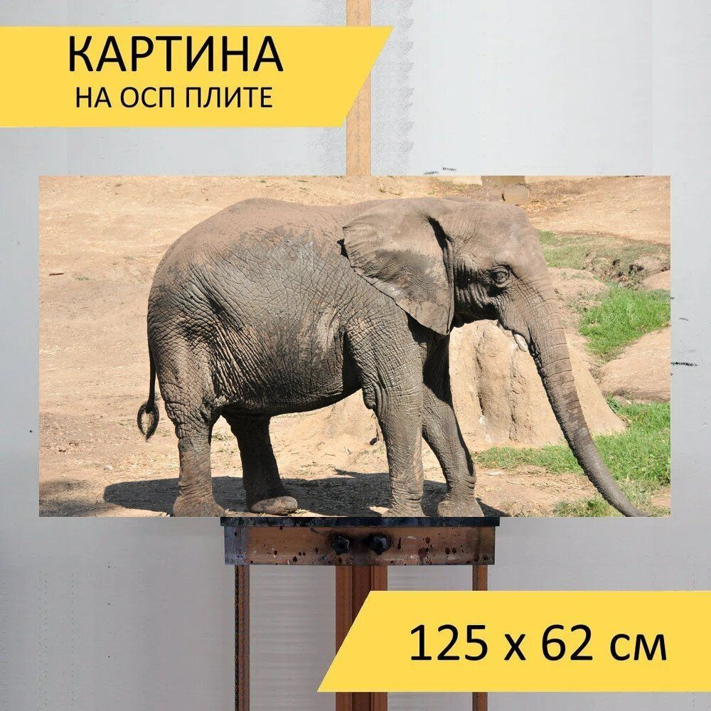 LotsPrints Картина "Слон, зоопарк, слоны 03", 125  х 62 см #1