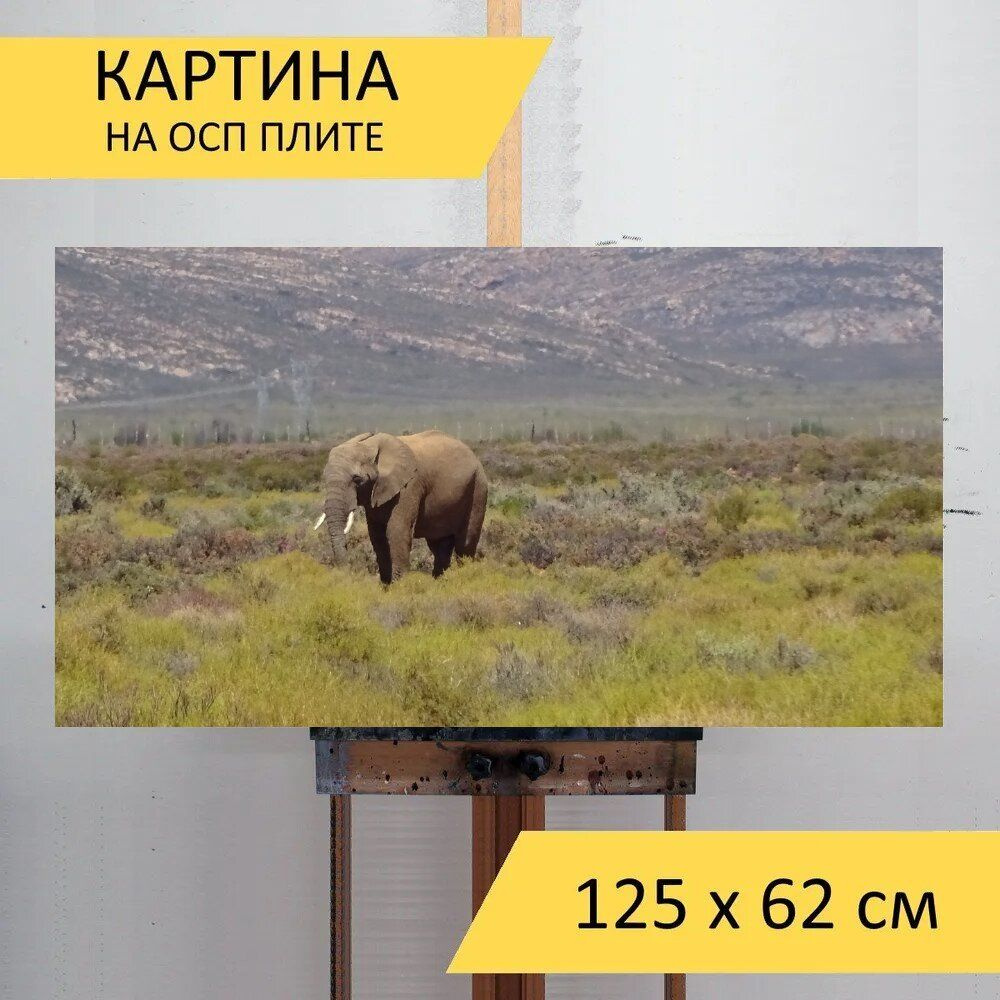 LotsPrints Картина "Слон, толстокожий, фауна 98", 125  х 62 см #1