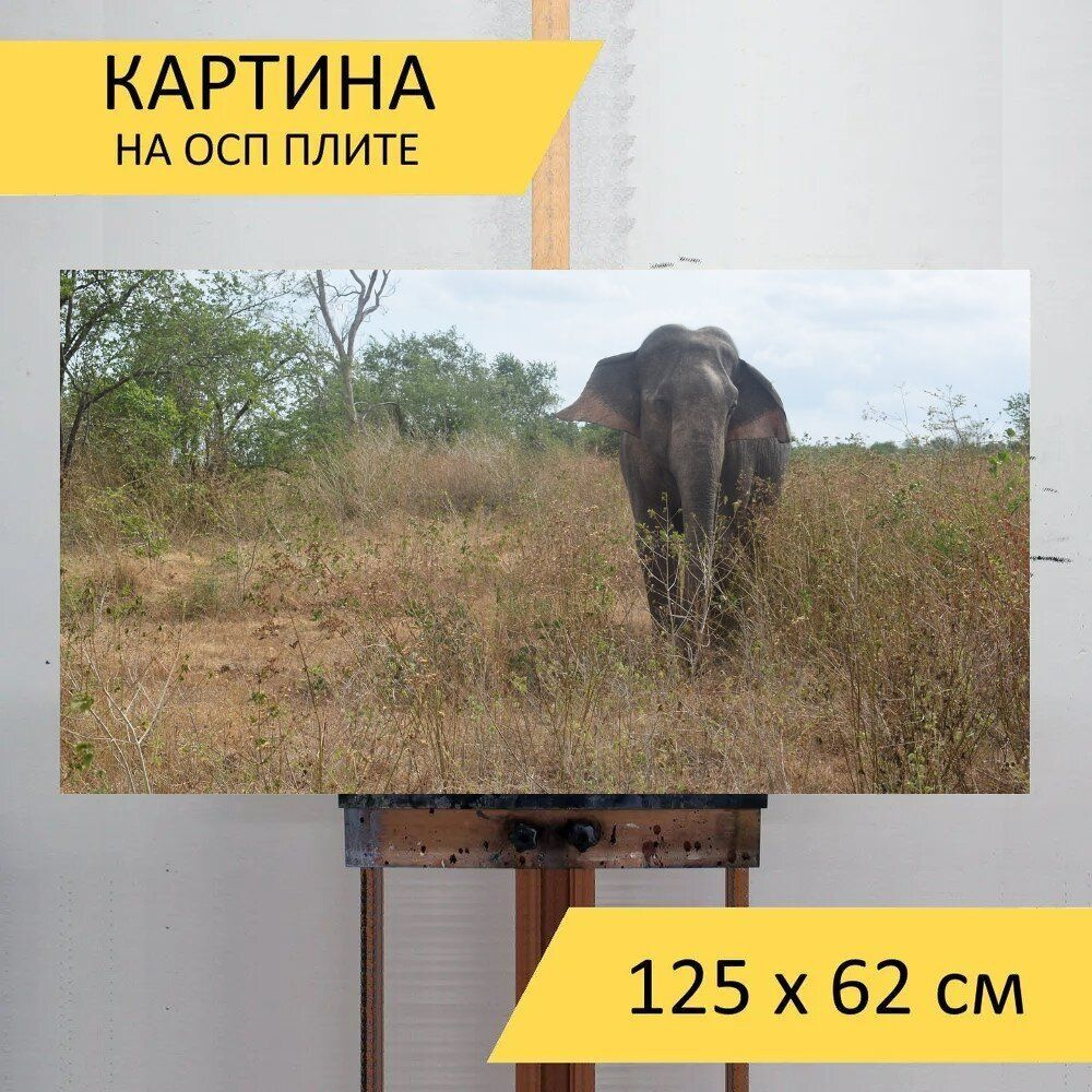 LotsPrints Картина "Слон, только, изолированные 55", 125  х 62 см #1