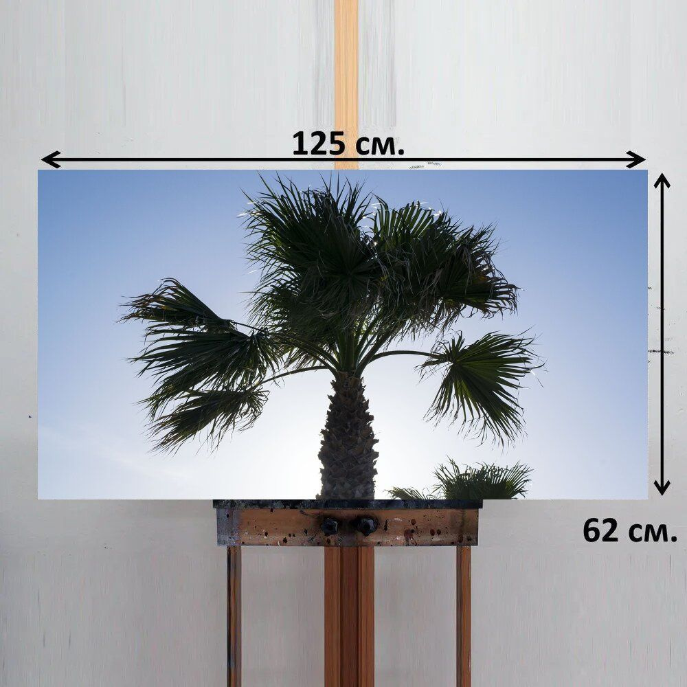 LotsPrints Картина "Пальма, солнце, ладони 98", 125  х 62 см #1