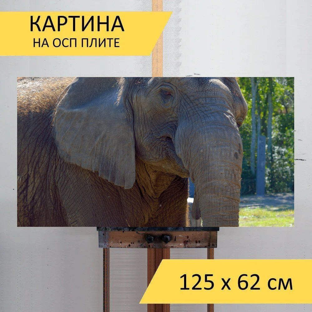 LotsPrints Картина "Слон, большой, животное 43", 125  х 62 см #1
