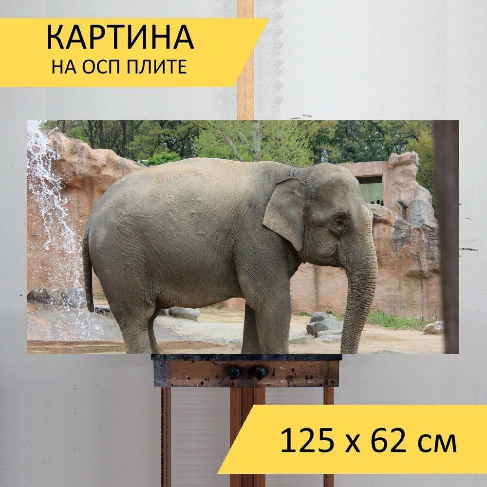 LotsPrints Картина "Слон, зоопарк, все тело 73", 125  х 62 см #1