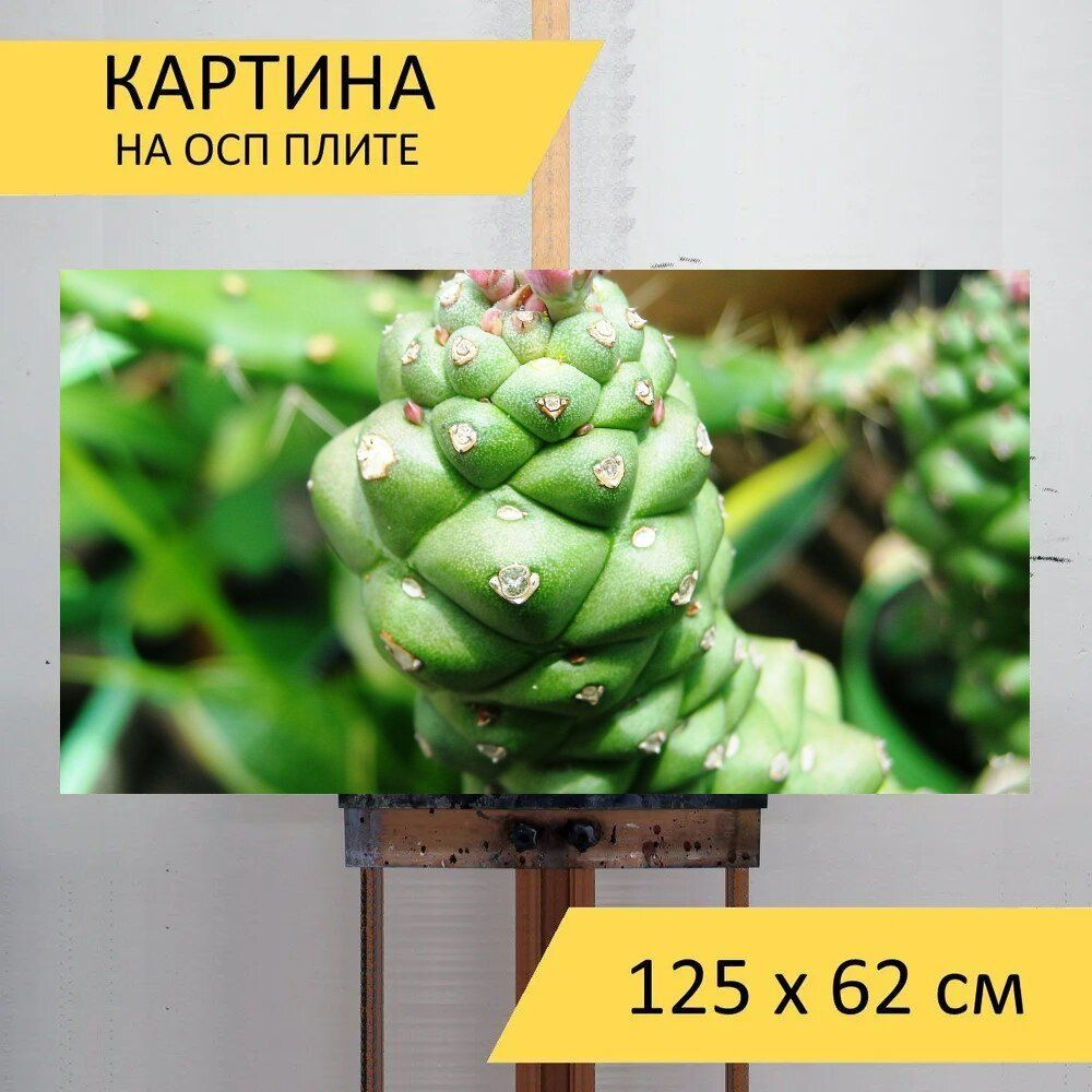 LotsPrints Картина "Кактус, зеленый, цветок 05", 125  х 62 см #1