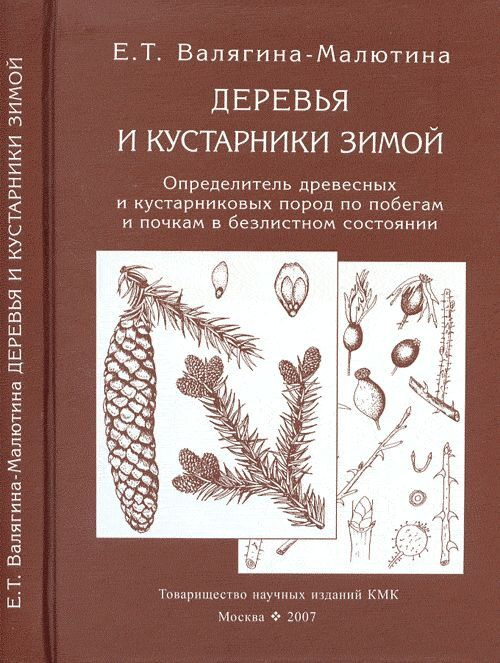 Книги трофимовых рассказы деда природоведа. Энциклопедия природы россии деревья и кустарники. Соколов с. Энциклопедия дереьвер. Ив роше сирень.