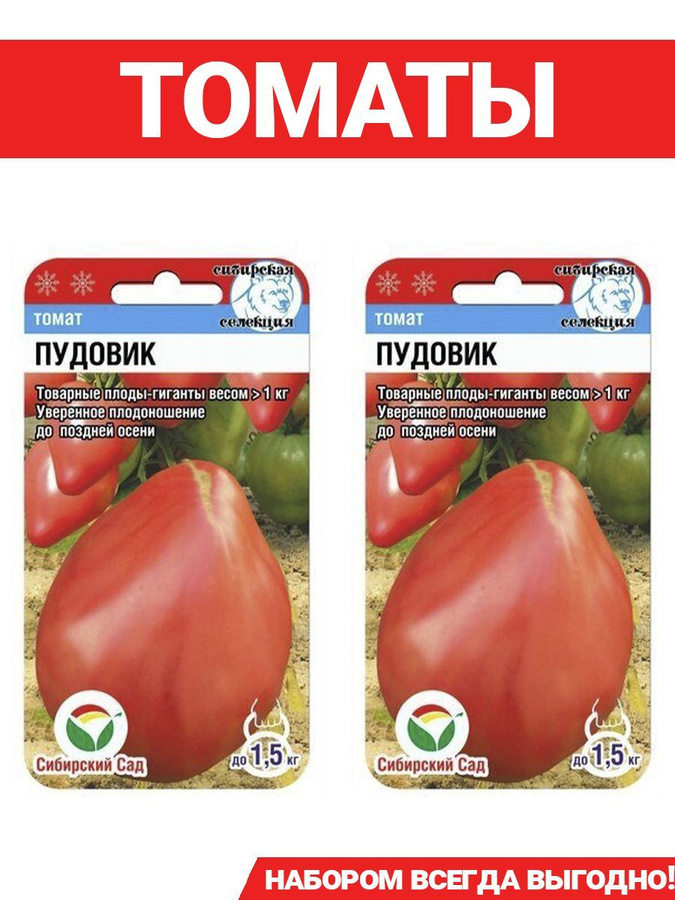 Томат лось семена алтая. Томат дашенька отзывы. Томат дашенька отзывы. Сорт помидор дашенька. Томат дашенька.