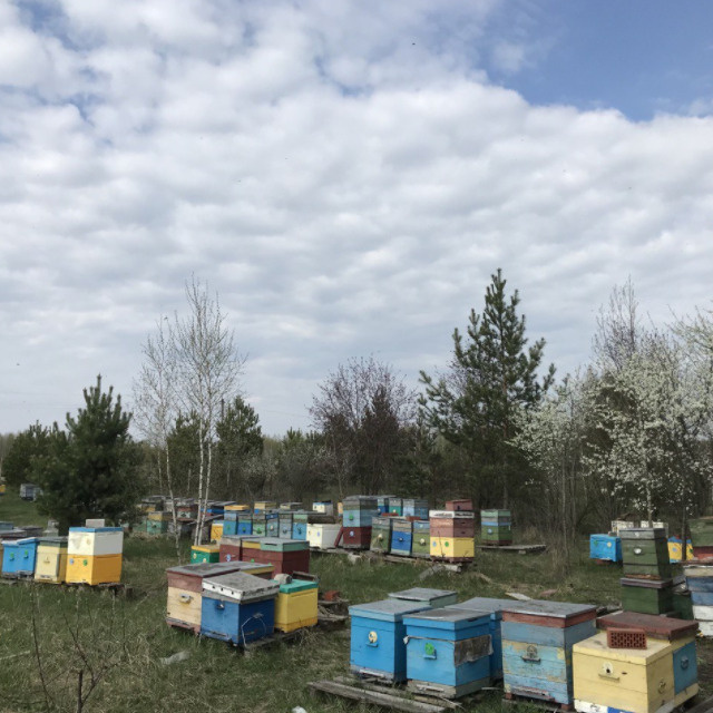 Текст при отключенной в браузере загрузке изображений