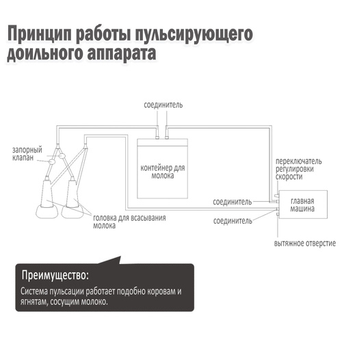 Как сцеживать грудное молоко? Техника ручного сцеживания, массаж груди и лайфхаки для мам