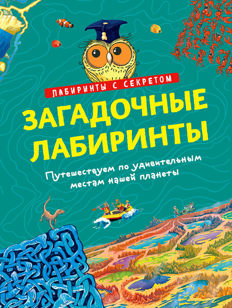 Лабиринты. Удивительные места нашей планеты. Загадочная книга для детей от 6-12 лет | Романова Т.  #1