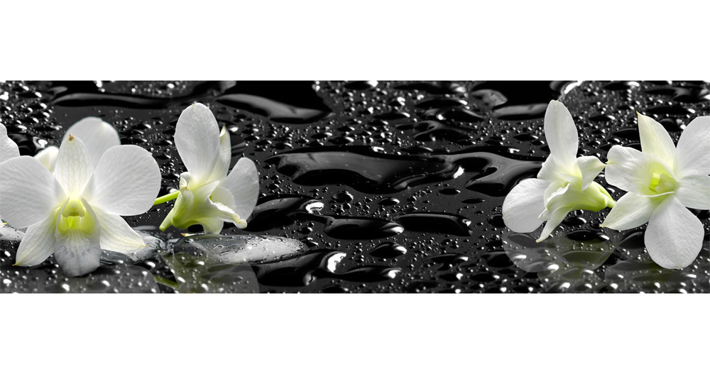 Кухонный фартук "Белые орхидеи 1012" 2000*600мм, АБС пластик, фотопечать  #1