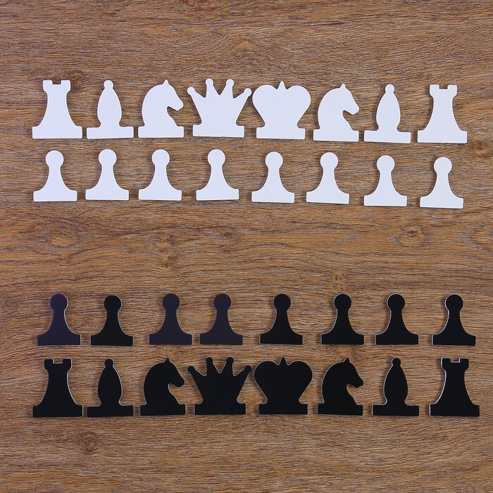 Шахматы Десятое Королевство Набор магнитных фигур, для демонстрационных шахмат  #1