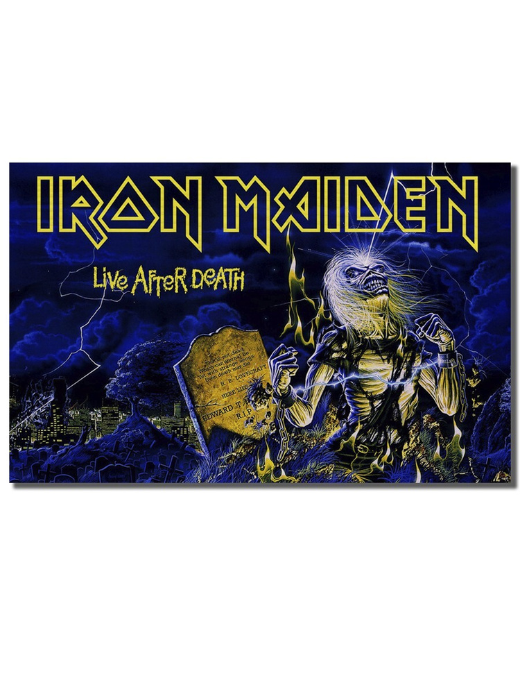 Картина "музыка iron maiden айрон мэйден - 5388 Г", 44  х 28 см #1