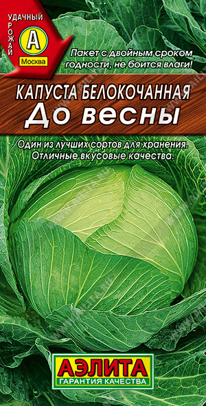 Капуста белокочанная До весны, хранение до 7 месяцев #1