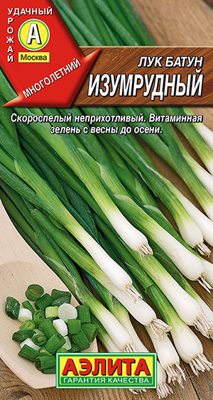 Лук батун Изумрудный скороспелый для однолетнего и многолетнего выращивания  #1