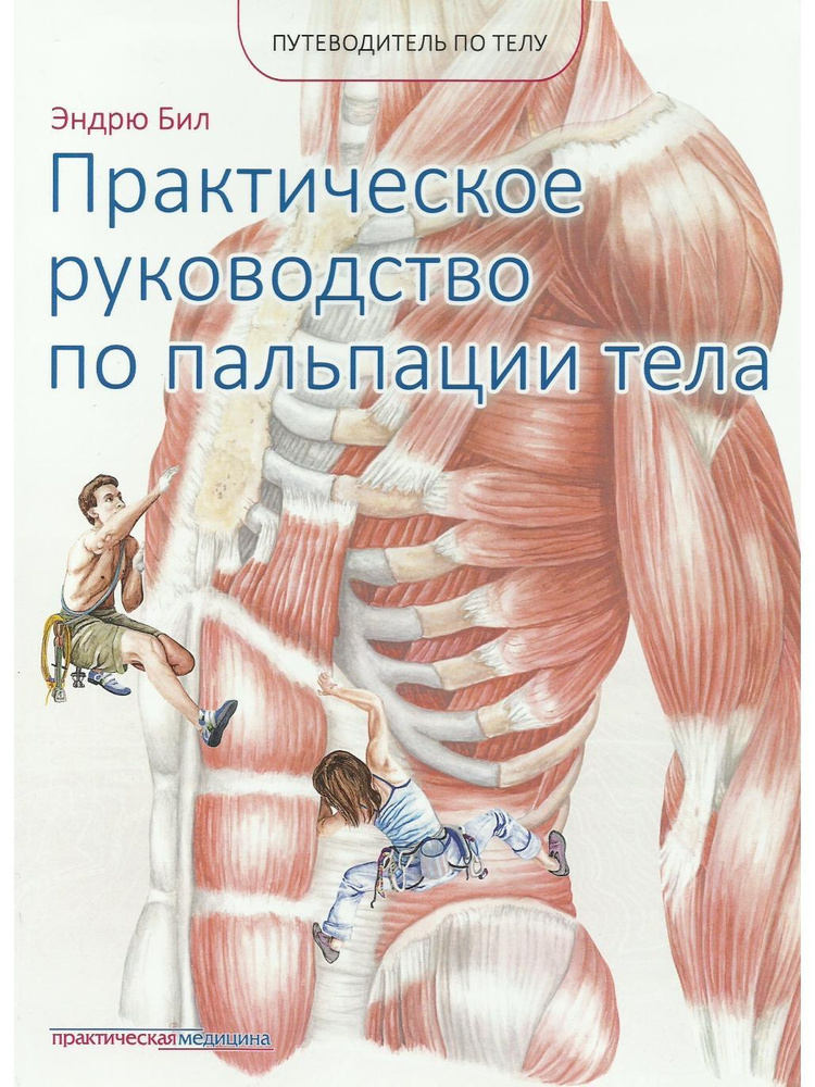 Путеводитель по телу. Практическое руководство по пальпации тела | Бил Эндрю  #1