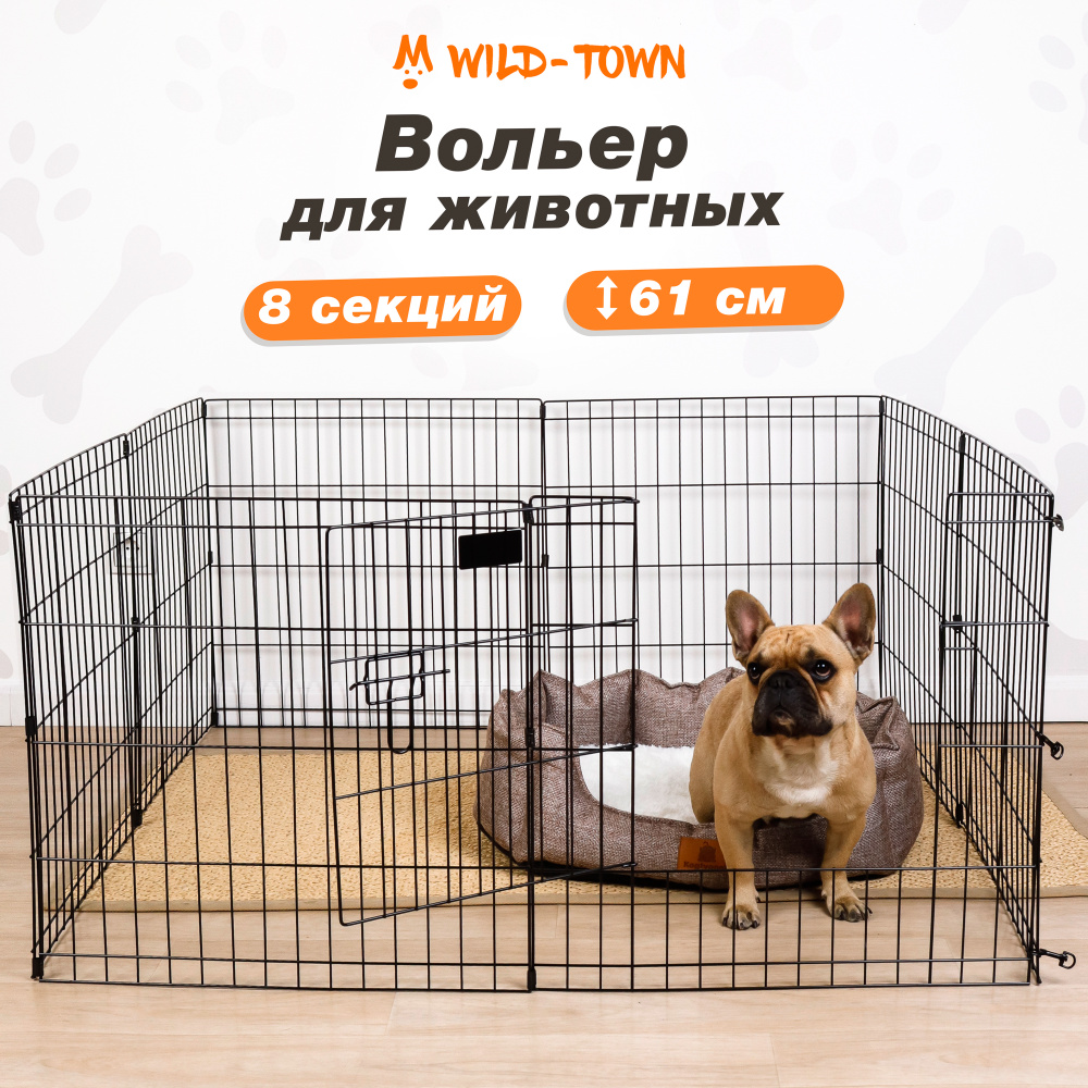 Декоративные кролики: что нужно знать перед покупкой: petloversonline — LiveJournal