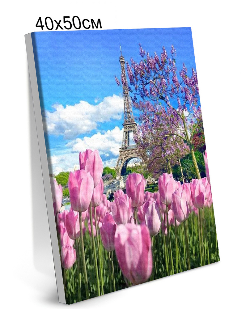 Картина по Номерам на Холсте 40х50 см Colibri Весенние Тюльпаны в Париже Цветы Сакура С Подрамником для #1