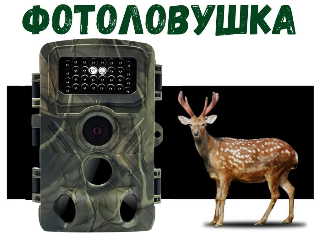 NewClassic Фотоловушка #1