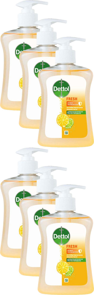 Жидкое мыло Dettol Антибактериальное c ароматом грейпфрута, комплект: 6 упаковок по 250 мл  #1