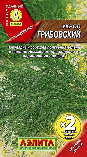 Укроп "Грибовский" семена Аэлита зелень для дома, балкона, подоконника и огорода, 6 гр  #1