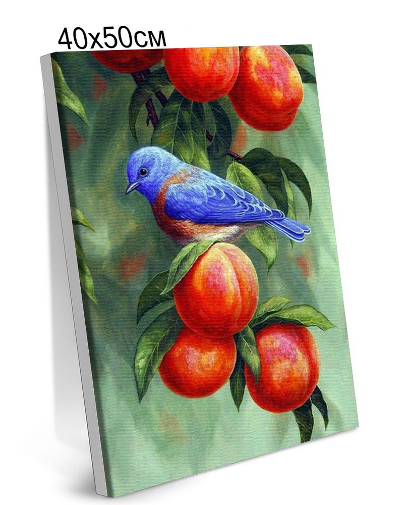 Картина по Номерам на Холсте 40х50 см Colibri Птичка на Ветке Дерева Природа С Подрамником для Детей #1