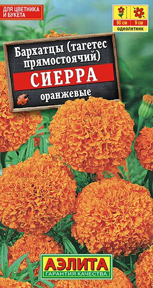 Бархатцы "Сиерра оранжевые" Семена цветов Аэлита, 0,3 гр #1