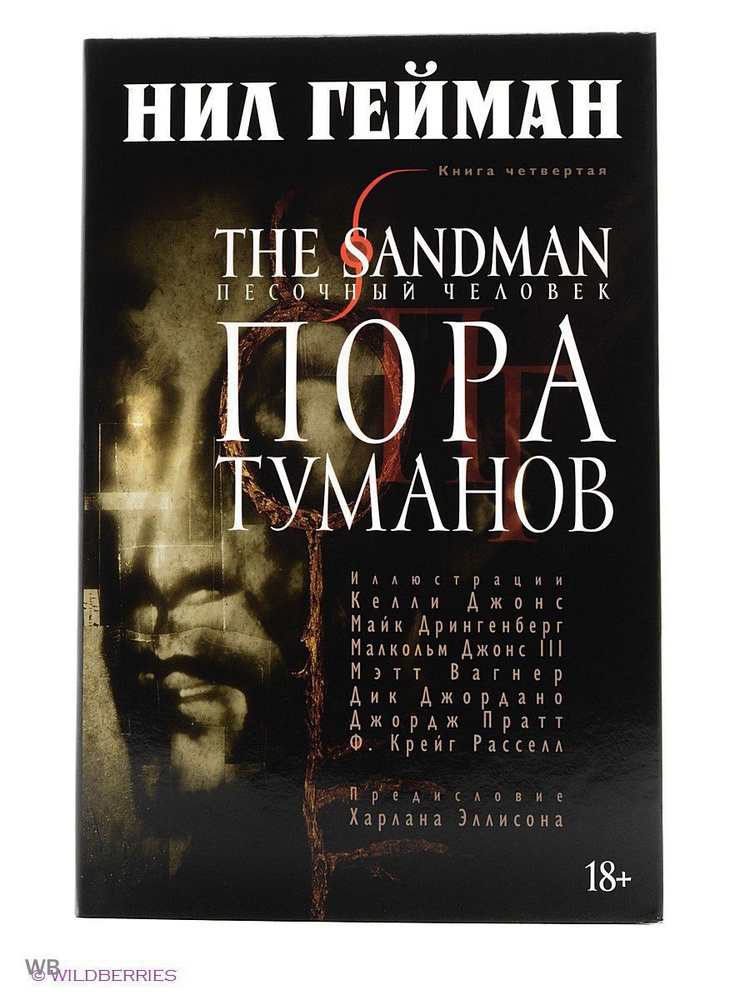 The Sandman. Песочный человек. Книга 4. #1