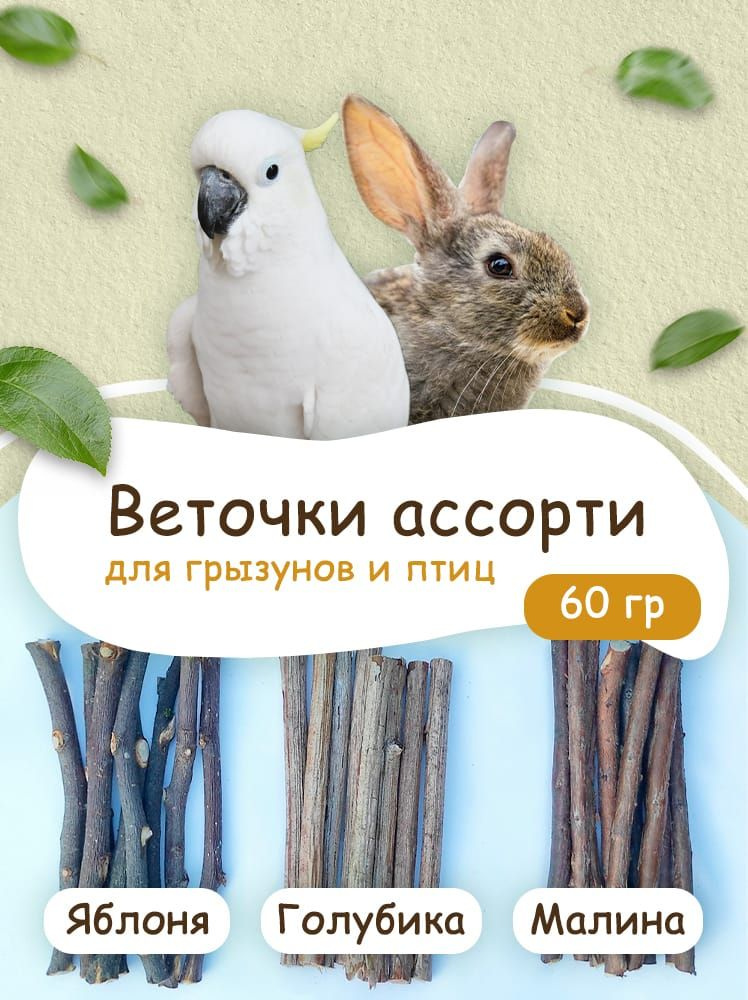 Веточки палочки ассорти голубика яблоня малина 60 гр. для грызунов и птиц. Угощение Лакомство для хомяков, #1