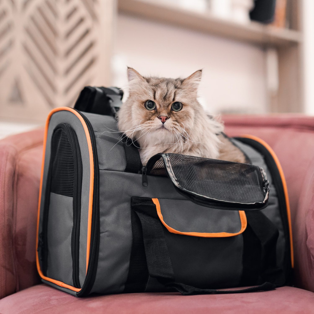 Рюкзак-переноска для животных, для кошек, для собак, "Не Один Дома" Orange, темно-серый, 41х21х30 см #1