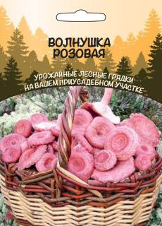 Грибы Волнушка Розовая, 2 пакета, зерновой мицелий 30 мл, Уральский Дачник  #1