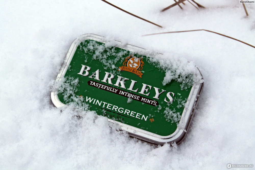 Леденцы Барклис Зимняя свежесть 50 грамм / Barkleys Mints Wintergreen 50 g  #1