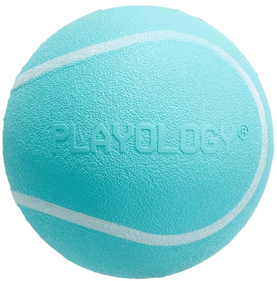 Playology Squeaky Chew Ball жевательный мяч для собак средних и крупных пород, с пищалкой, с ароматом #1