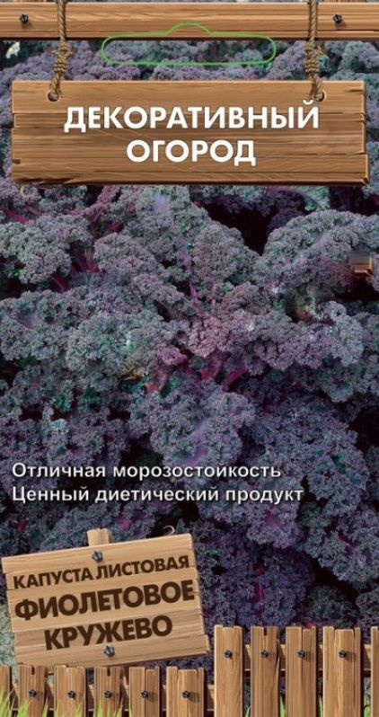 Капуста листовая Фиолетовое кружево 0,1гр. (Поиск) #1