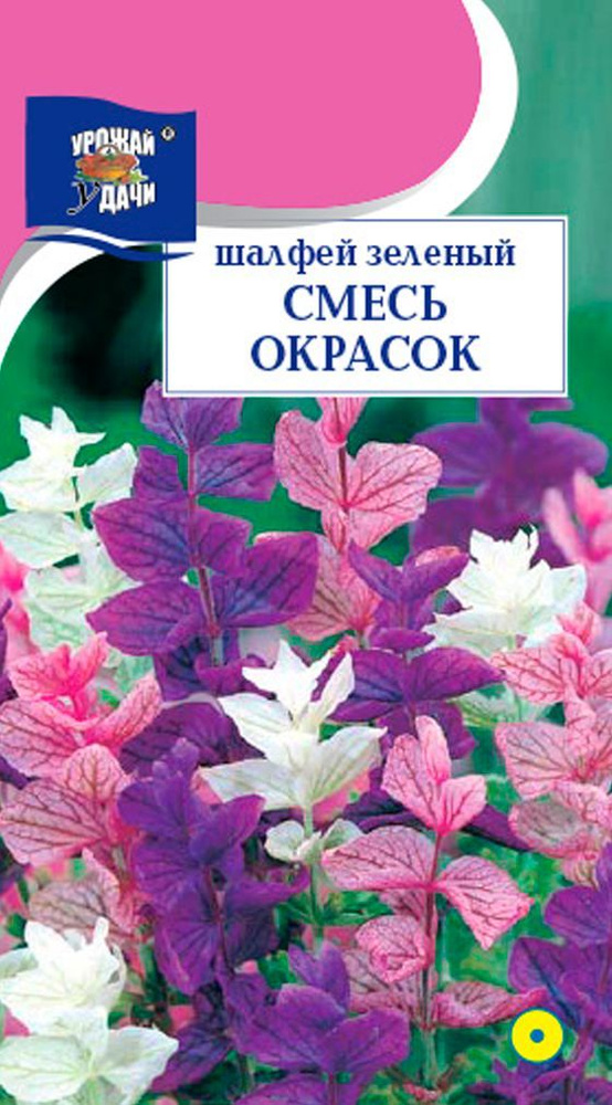 Шалфей зеленый Смесь окрасок (Семена УРОЖАЙ УДАЧИ, 0,2 г семян в упаковке)  #1