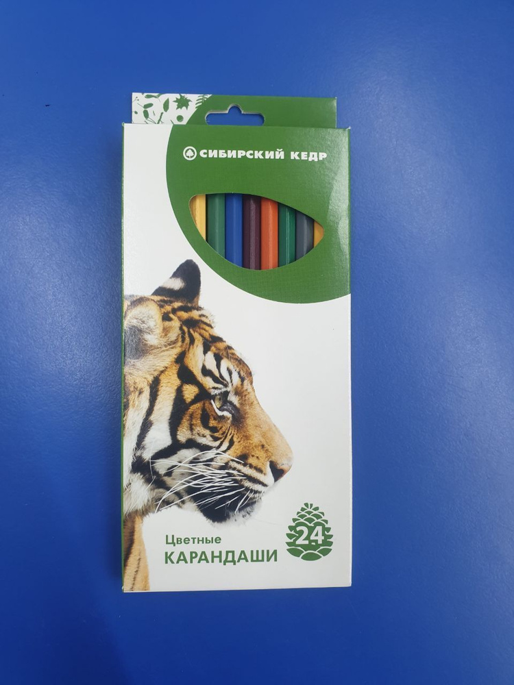 Сибирская карандашная фабрика Набор карандашей, вид карандаша: Цветной, 24 шт.  #1