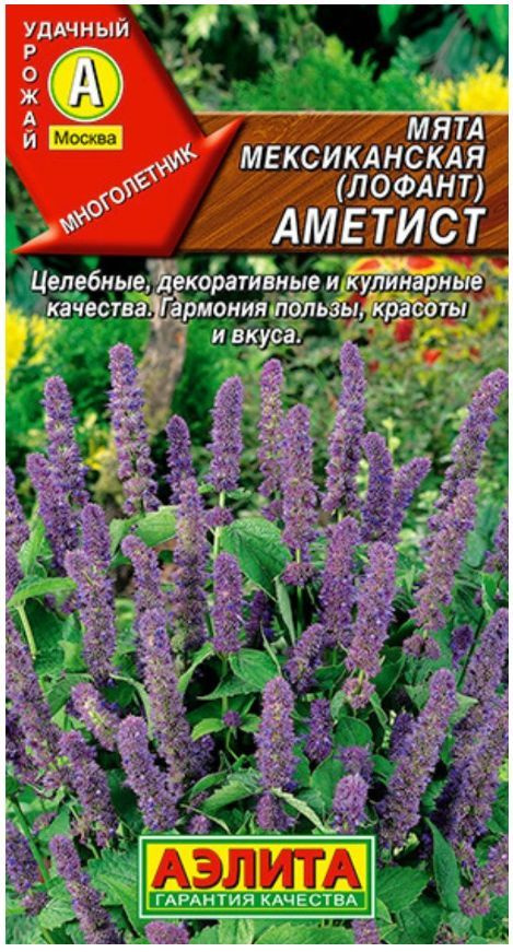 Мята мексиканская Аметист, 1 пакетик 0,05 гр. семян, Аэлита  #1