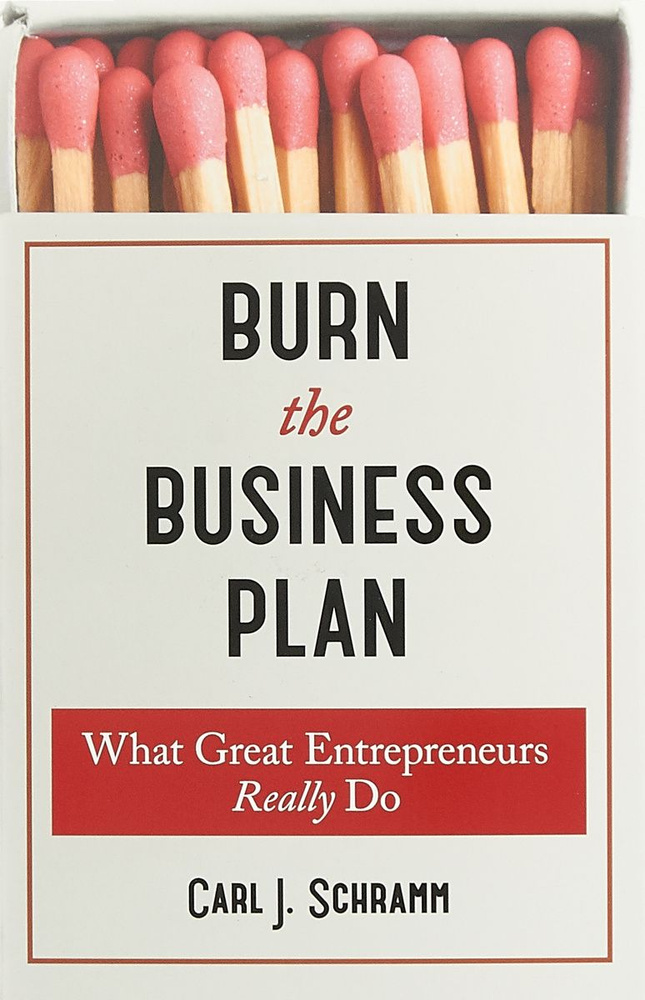 Burn The Business Plan #1