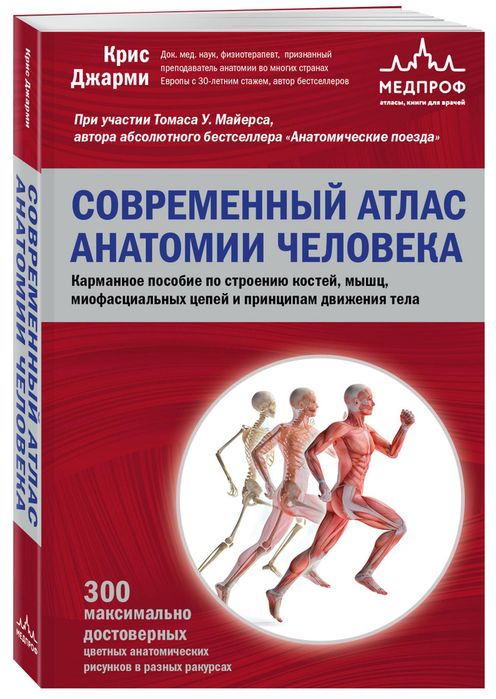 Современный атлас анатомии человека. Карманное пособие по строению костей, мышц, миофасциальных цепей #1