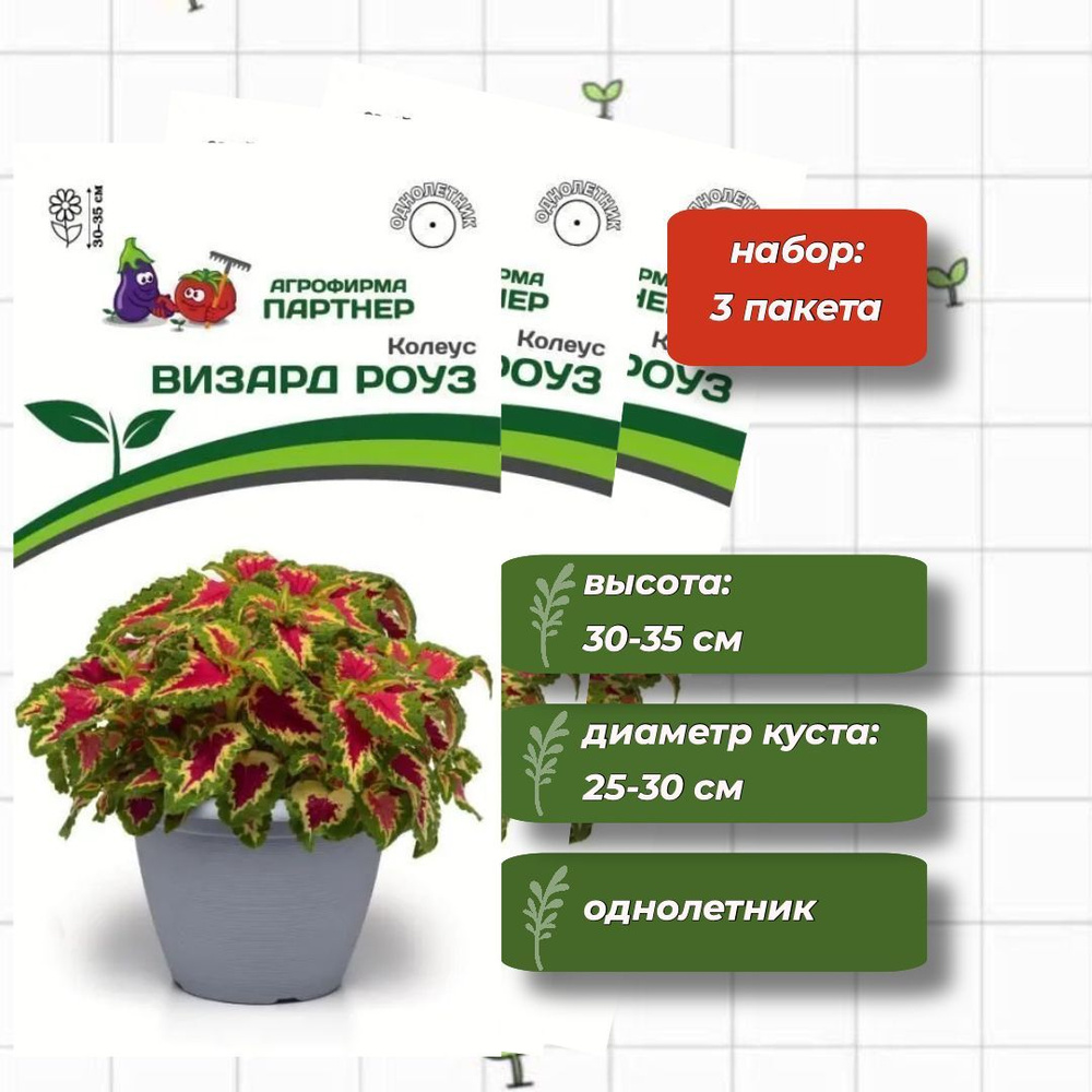 Колеус шлемниковидный Визард Роуз Агрофирма Партнёр 10 шт. - 3 упаковки  #1