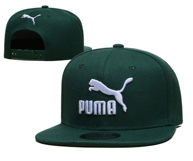 Бейсболка PUMA #1