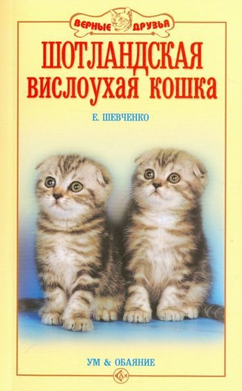 Елена Шевченко - Шотландская вислоухая кошка. Ум и обаяние | Шевченко Елена Алексеевна  #1