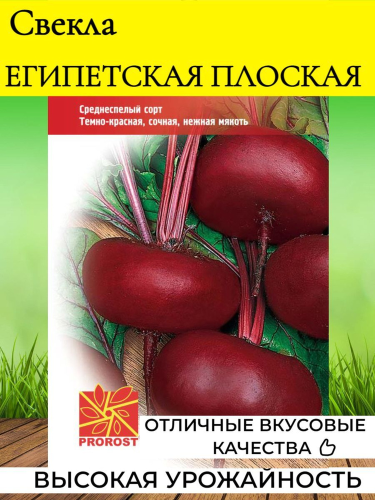 Семена Свекла Египетская плоская 2г Пророст #1