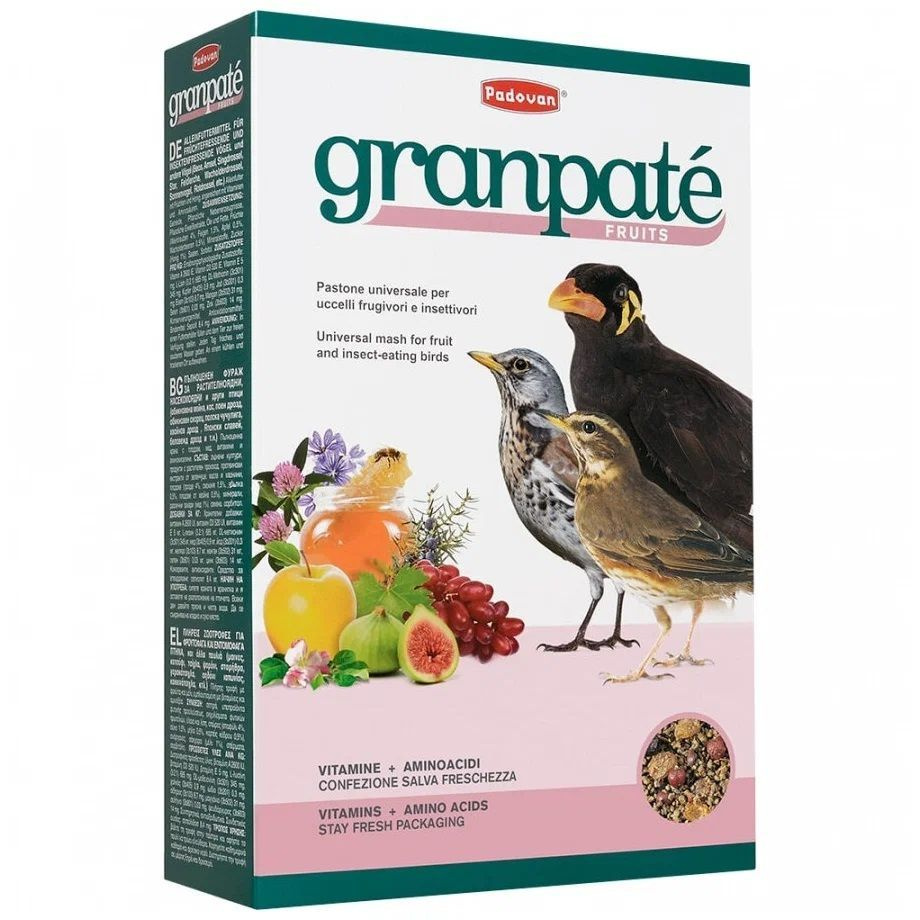 Корм Padovan GranPatee fruits для насекомоядных птиц, с фруктами, 1 кг  #1