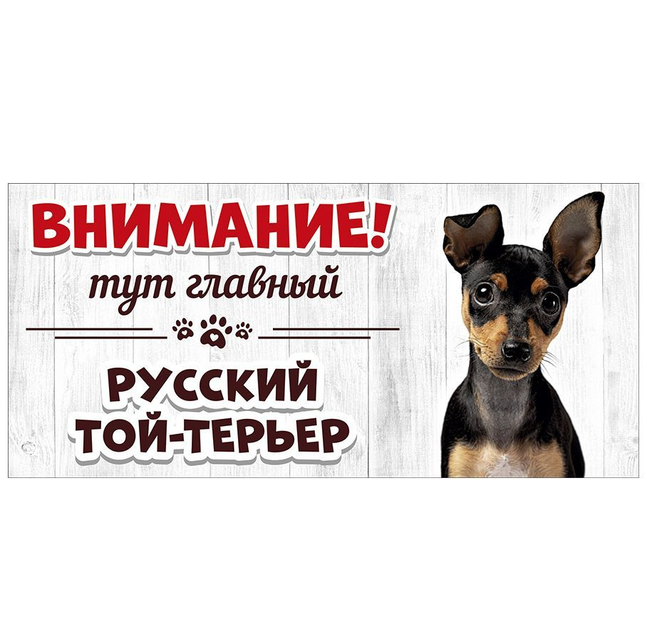 Табличка, Злая собака, Тут главный Русский той-терьер, на металлической основе, 30см х 14 см, на забор, #1