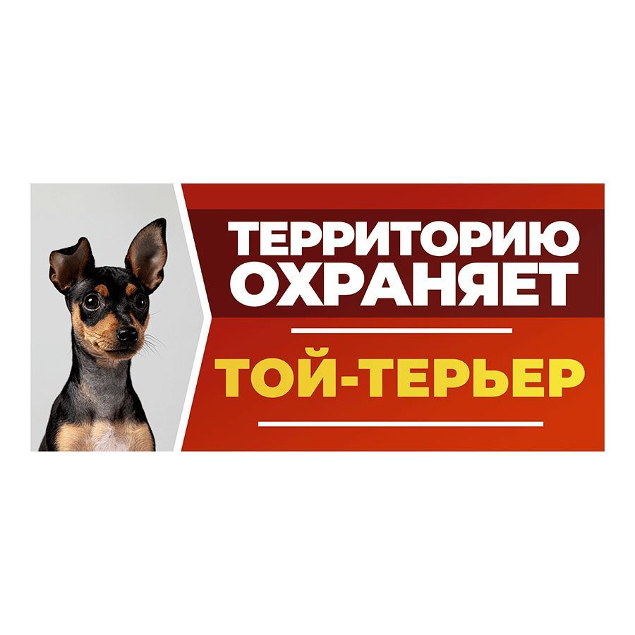 Табличка, DANGER DOG, Той-терьер, на забор, 30см х 14см #1