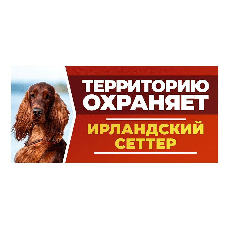 Табличка, DANGER DOG, Ирландский сеттер, на забор, 30см х 14см #1