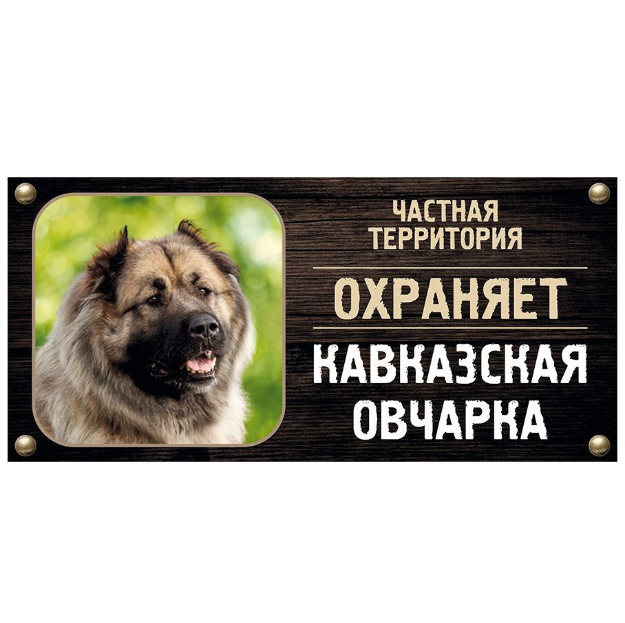 Табличка, Злая собака, Территорию охраняет Кавказская овчарка, на металлической основе, 30см х 14 см, #1