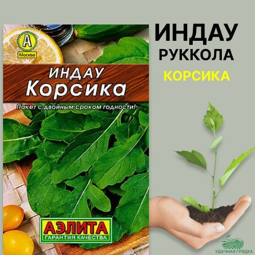 Руккола (индау) Корсика,семена Аэлита 0,3г, для открытого грунта  #1