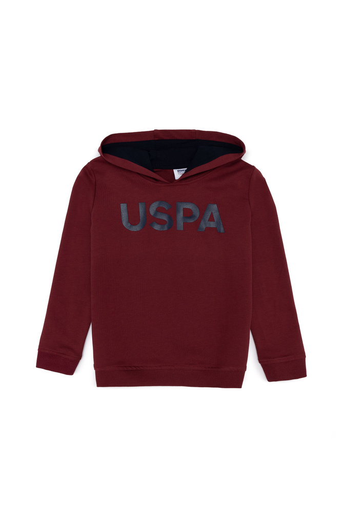 Толстовка U.S. POLO ASSN. #1