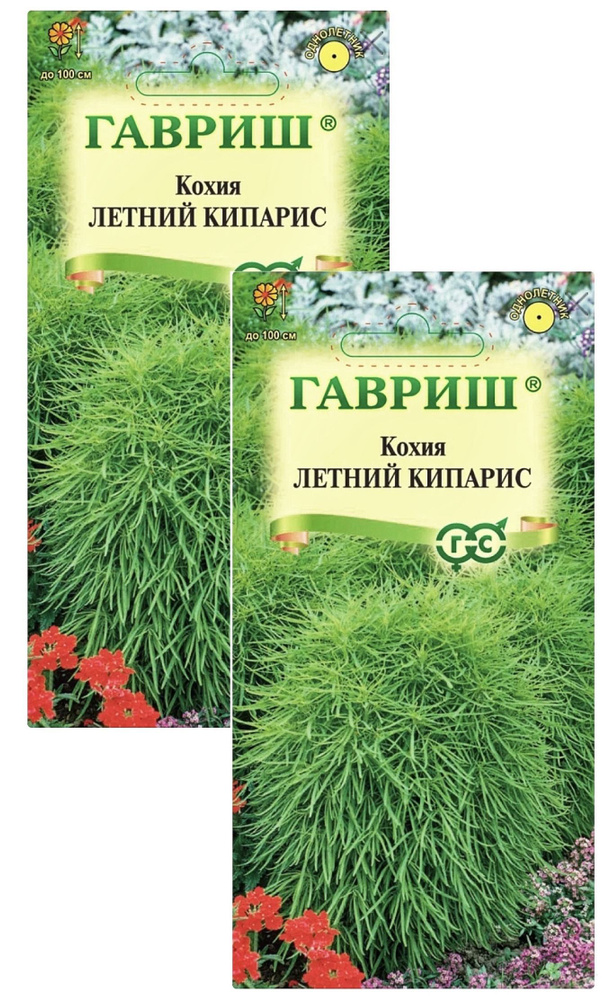 Кохия Летний кипарис (веничная), 2 пакета, семена 0,3 гр, Гавриш  #1