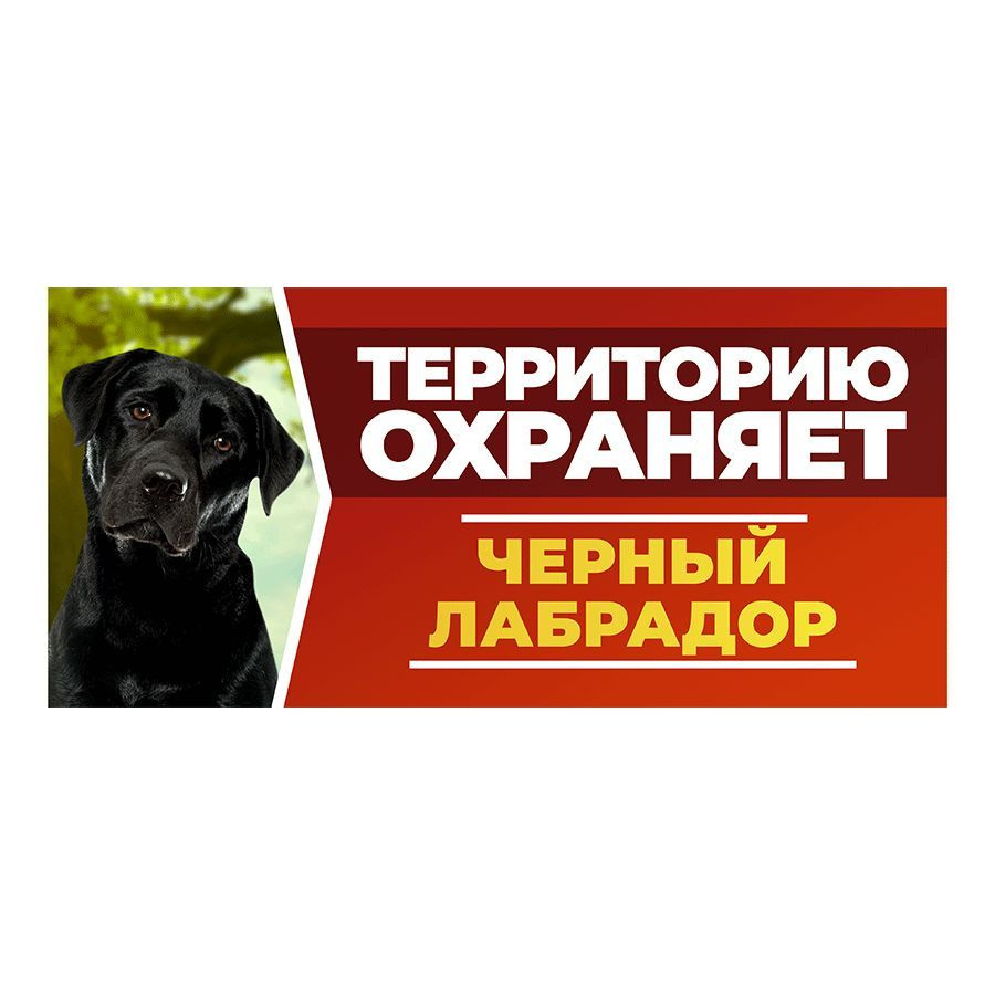 Табличка, DANGER DOG, Черный лабрадор, на забор, 30см х 14см #1